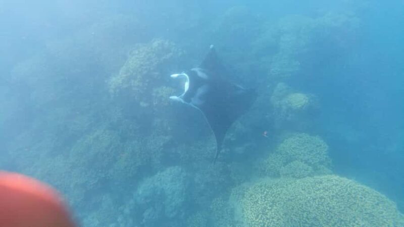 Half day for Snorkeling, Legends, History with O-sea Bora - Why This Tour Works Well