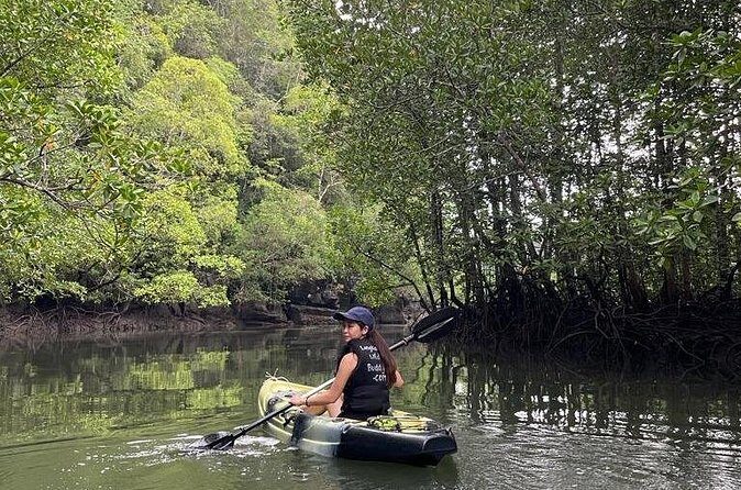 Half-Day Geopark Mangrove Kayaking Adventure - Frequently Asked Questions (FAQs)