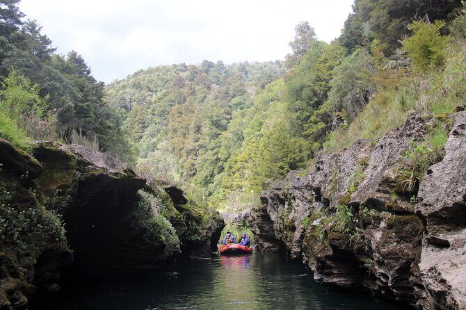 Half Day, Grade 5, White Water Rafting on the Rangitikei River - Pricing and Value