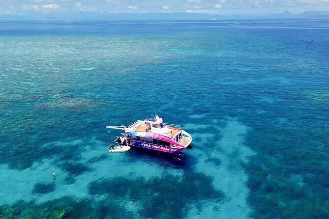 Half Day Great Barrier Reef Snorkeling Tour - An In-Depth Look at the Experience