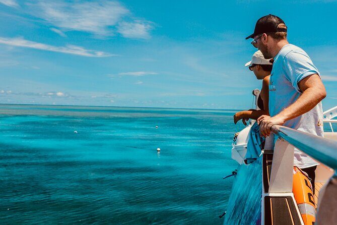 Half Day Great Barrier Reef Snorkeling Tour - The Sum Up: Is This Tour Right for You?