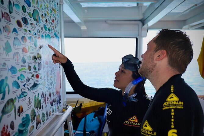 Half Day Great Barrier Reef Snorkeling Tour - Frequently Asked Questions