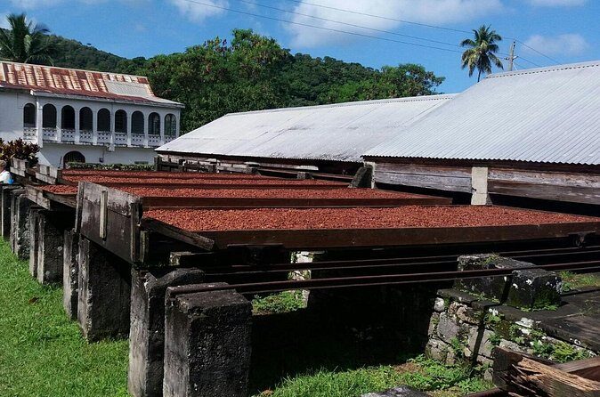 Half-Day Grenada Island Small-Group Sightseeing Tour - The Experience of the Guides