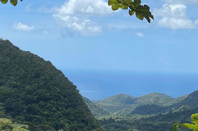 Half Day Grenada Seven Sisters, Grand Etang Nature Center Hiking Tour - Who Will Love This Tour?