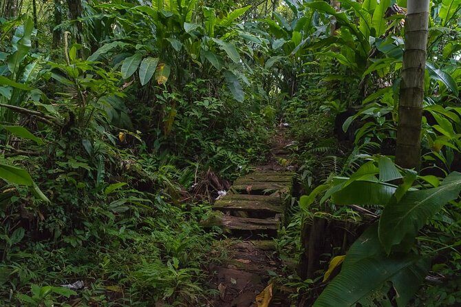 Half Day Grenada Sunshine Highlights Tour - Key Points