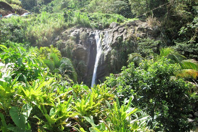 Half Day Grenada Sunshine Highlights Tour - Practical Details and What to Expect