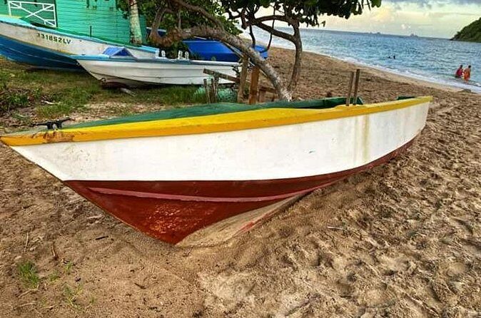 Half Day Grenada Wonders Tour - Transportation and Group Size