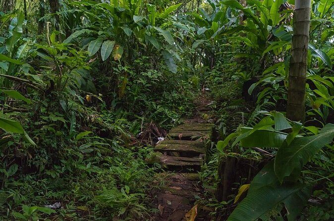 Half Day Grenada Wonders Tour - Pricing and Value