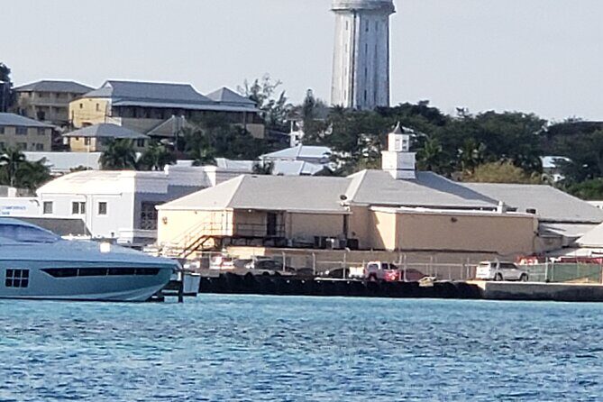 Half-Day Guided Boat Tour of Nassau Harbour and Rose Island - Who Would Love This Tour?