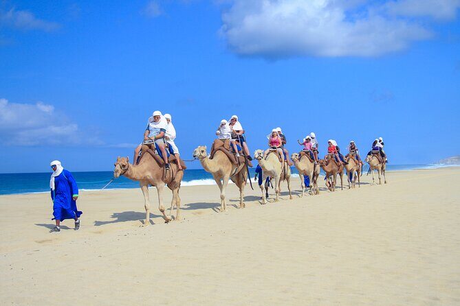 Half Day Guided Camel Safari in Cabo San Lucas - Who Will Love This Tour?