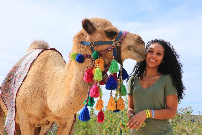 Half Day Guided Camel Safari in Cabo San Lucas - Authentic Experiences and Practical Tips
