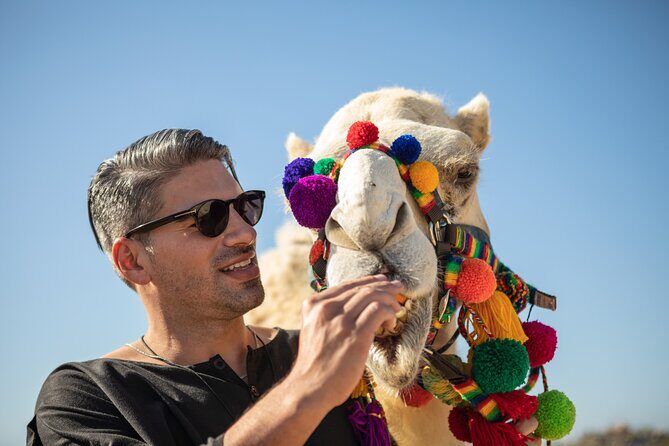Half Day Guided Camel Safari in Cabo San Lucas - The Sum Up