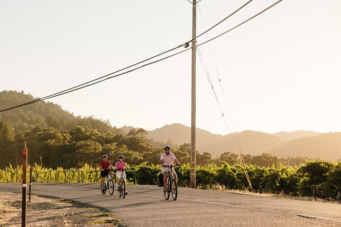 Half Day Guided Electric Bike Wine Tasting Tour with Lunch - The E-Bike Experience: Riding Through Vineyards