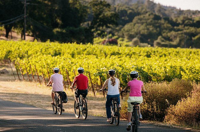 Half Day Guided Electric Bike Wine Tasting Tour with Lunch - The Sum Up: Who Will Love This Tour?