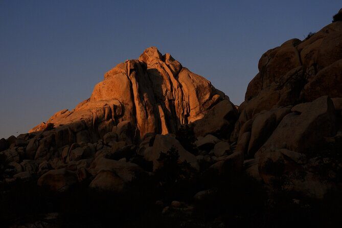 Half-Day Guided Hike in Joshua Tree National Park - The Sum Up