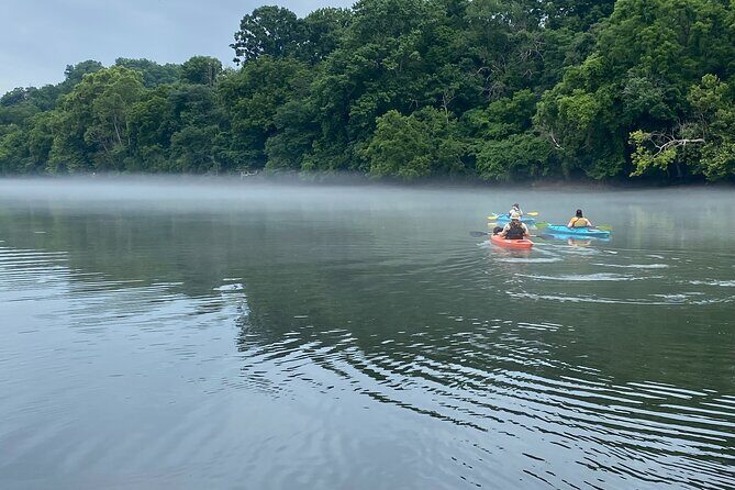 Half-Day Guided Kayaking in the Smoky Mountains of Tallassee - What Makes This Kayaking Tour Stand Out?