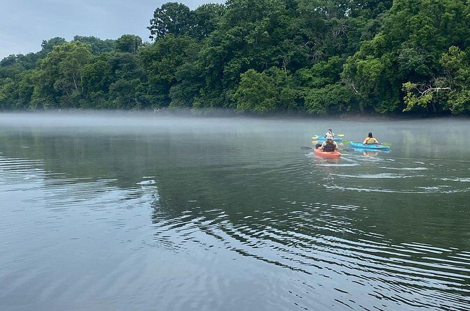 Half-Day Guided Kayaking in the Smoky Mountains of Tallassee - What the Reviews Say (Though Limited)