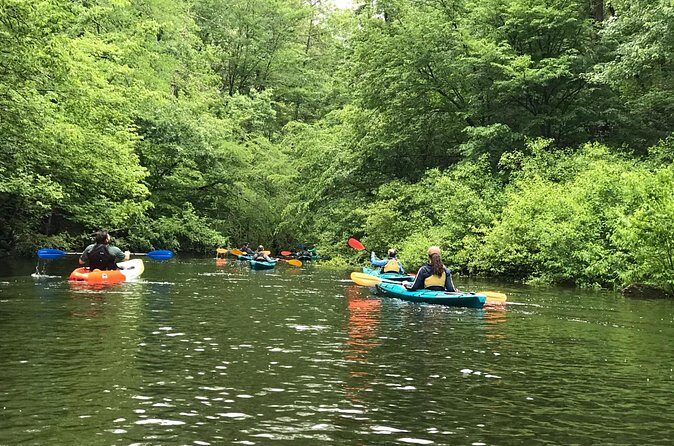 Half-Day Guided Kayaking in the Smoky Mountains of Tallassee - Why Consider This Tour?