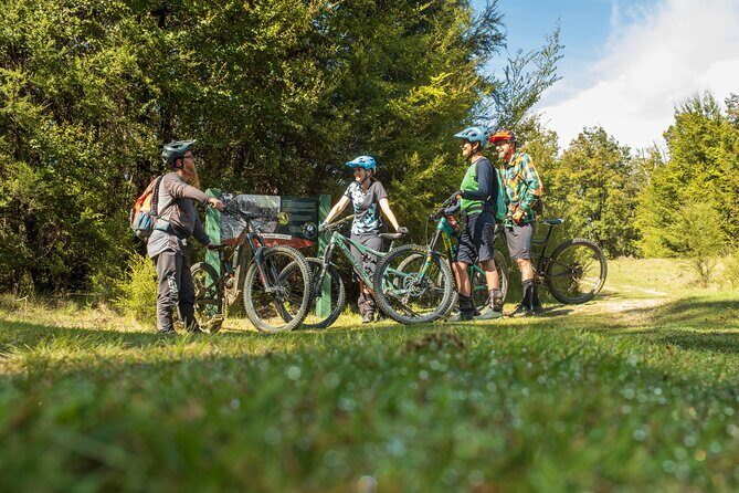 Half Day Guided Mountain Biking Adventure in Nelson - Practical Details and What You Need to Know