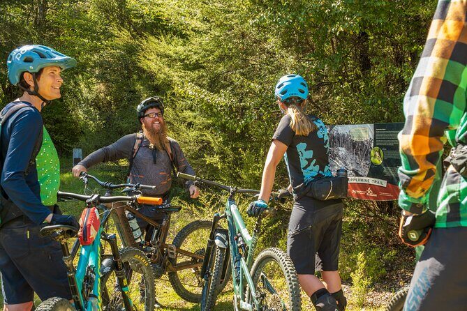Half Day Guided Mountain Biking Adventure in Nelson - Who Will Love This Tour?