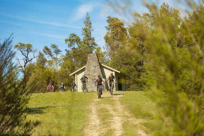 Half Day Guided Mountain Biking Adventure in Nelson - The Value Proposition