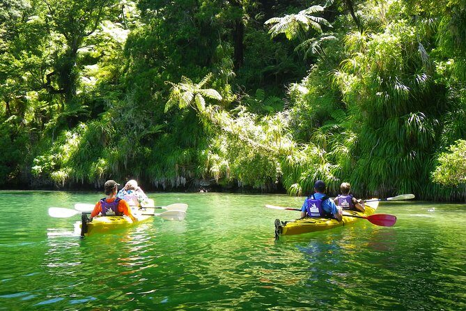 Half-Day Guided Sea Kayak Trip from Picton - A Closer Look at the Experience