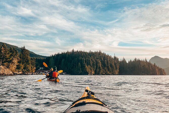 Half-Day Guided Sea Kayaking Adventure in Telegraph Cove - Introduction