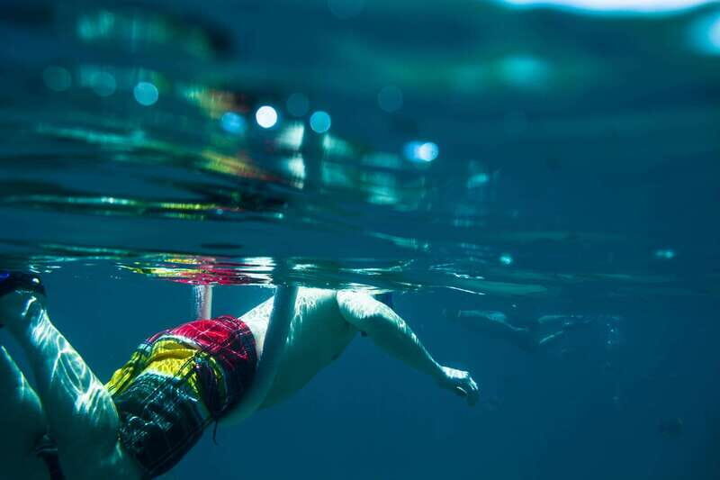 Half Day Guided Snorkel Tour in Los Cabos - Key Points