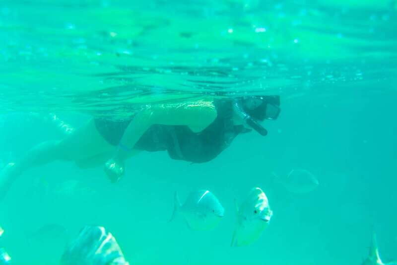 Half Day Guided Snorkel Tour in Los Cabos - Introduction: A Snapshot of This Snorkel Tour Experience