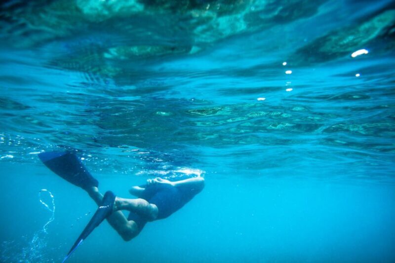 Half Day Guided Snorkel Tour in Los Cabos - What’s Included & What Not