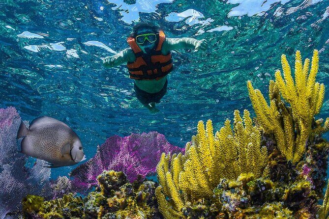 Half Day Guided Snorkeling Adventure Tour from Cancun - What Makes This Tour Stand Out