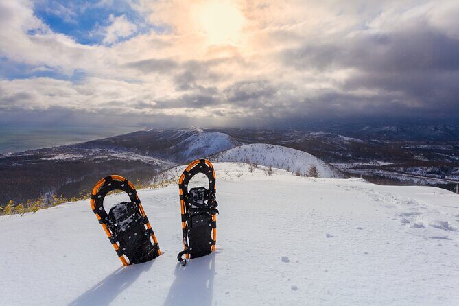 Half Day Guided Snowshoe Tour Near Breckenridge - Who Will Love This Tour?