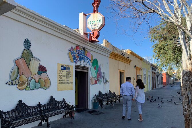 Half-Day Guided Tour at Los Cabos: San José & Cabo San Lucas - Final Thoughts on Value and Suitability