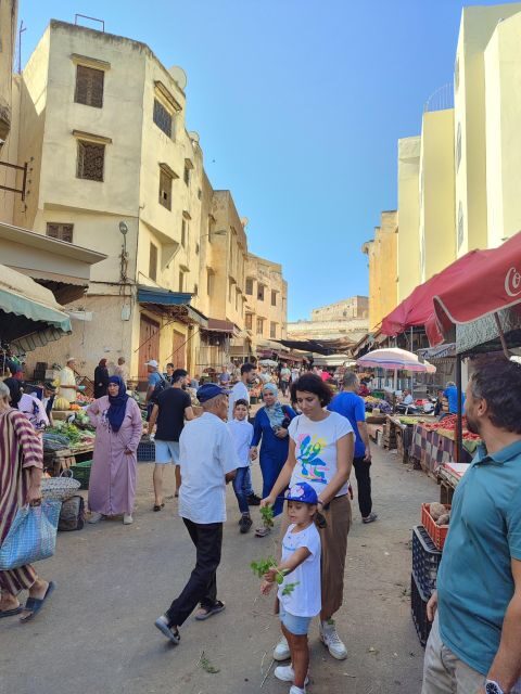 Half day guided tour in Fes Medina - Who Should Consider This Tour?