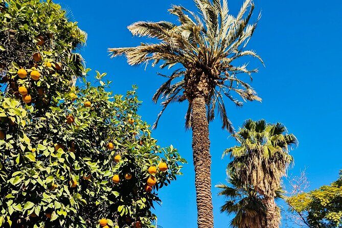 Half Day Guided Tour in Marrakech History & Culture - Frequently Asked Questions