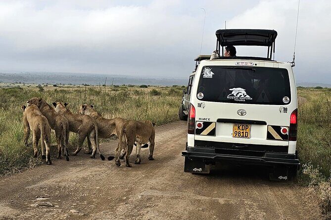 Half day guided tour in Nairobi National Park - What This Tour Offers in Detail