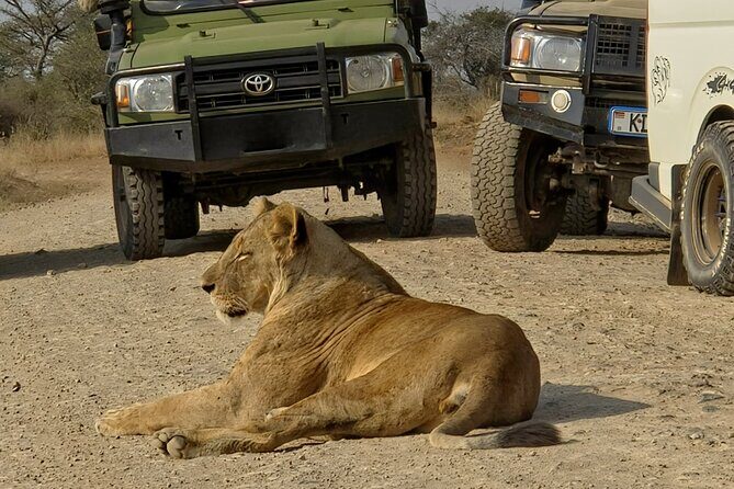 Half day guided tour in Nairobi National Park - FAQ