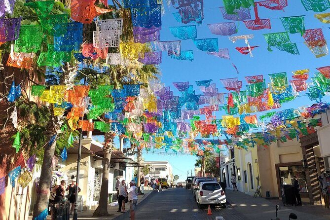 Half-Day Guided Tour in San José del Cabo Art and Beer Tasting - Frequently Asked Questions