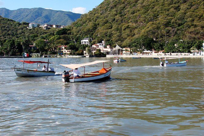 Half-Day Guided Tour of Lake Chapala from Guadalajara - What the Price Gets You