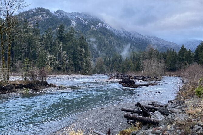 Half Day Guided Tour of Olympic National Park - A Closer Look at the Itinerary