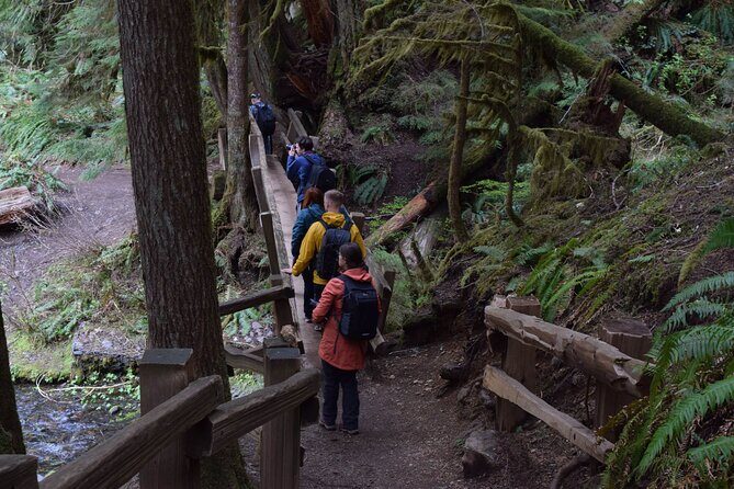 Half Day Guided Tour of Olympic National Park - FAQ