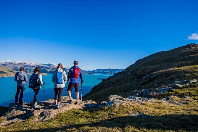 Half Day Guided Walking Tour on Banks Peninsula - Exploring the Beauty of Banks Peninsula: A Guide to the Half-Day Guided Walk