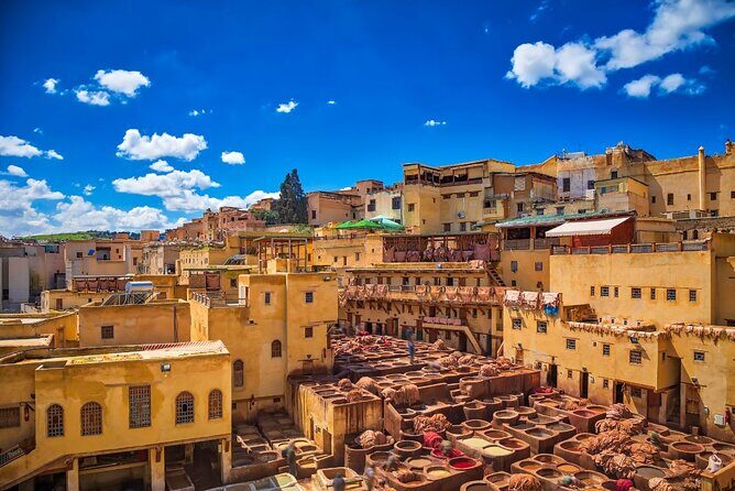 Half Day Guided Walking Tours on The Medina of Fez - The Experience Breakdown