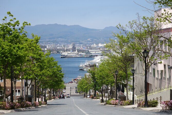 Half Day Hakodate Tour with Government Licensed English guide - What to Expect at Hakodate Morning Market