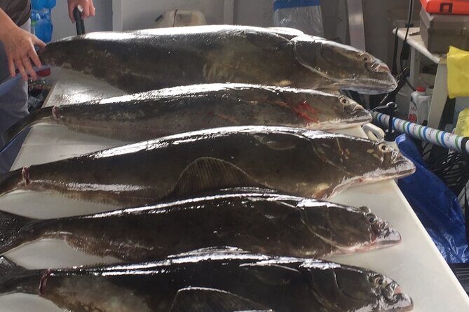 Half Day Halibut Fishing - FAQ