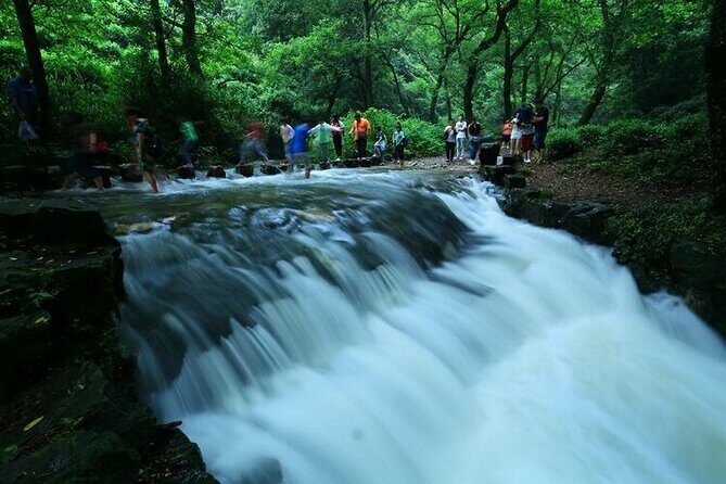 Half-Day Hangzhou Jiuxi Stream and Tea Plantation Experience - A Nature Escape Close to Hangzhou