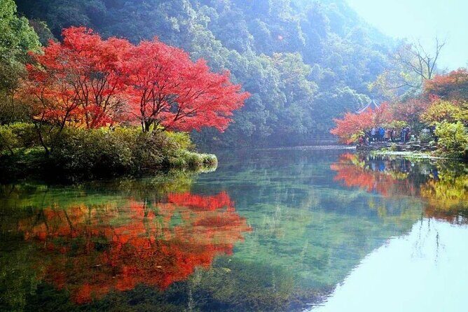 Half-Day Hangzhou Jiuxi Stream and Tea Plantation Experience - Local Meal and Comfortable Drop-offs