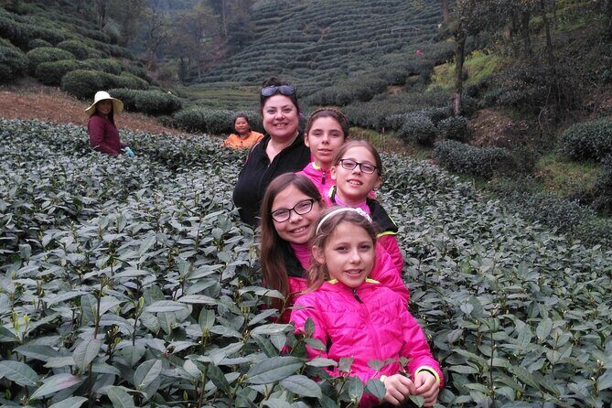 Half-Day Hangzhou Jiuxi Stream and Tea Plantation Experience - The Sum Up: Who Will Appreciate This Tour?