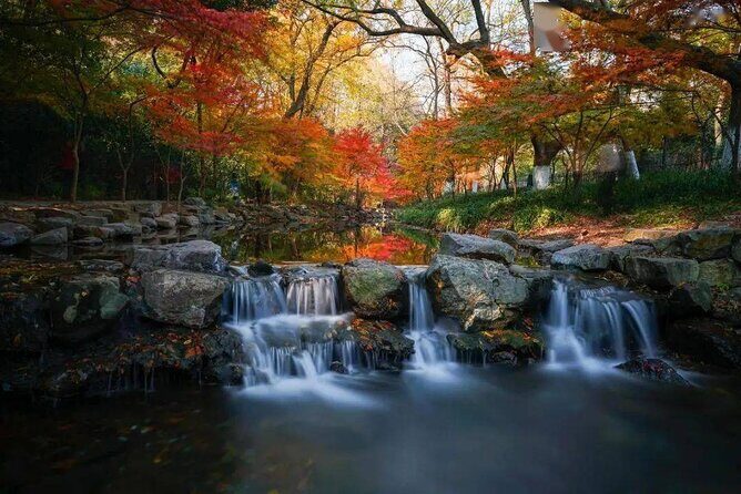 Half-Day Hangzhou Jiuxi Stream and Tea Plantation Experience - Frequently Asked Questions