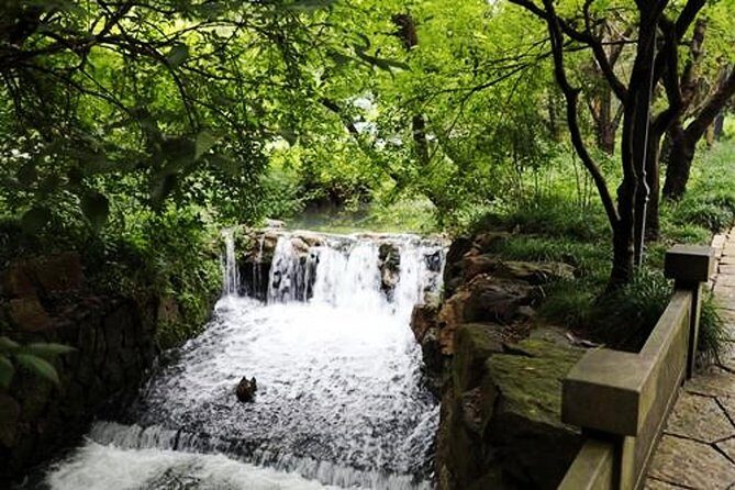 Half-Day Hangzhou Tianzhu Buddhist Mountain Hiking Tour with Green Tea Village - An Authentic Look at Hangzhou’s Spiritual and Natural Side